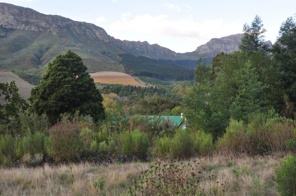 Kierie Kwaak Self Catering Villa Stellenbosch Exterior photo