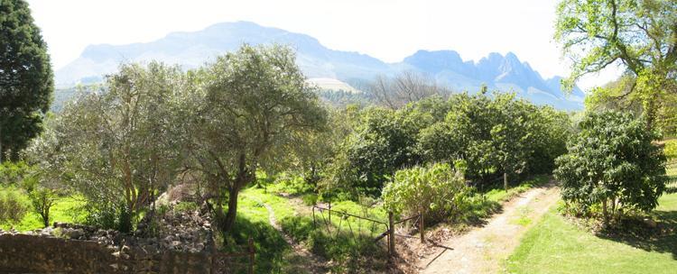 Kierie Kwaak Self Catering Villa Stellenbosch Exterior photo